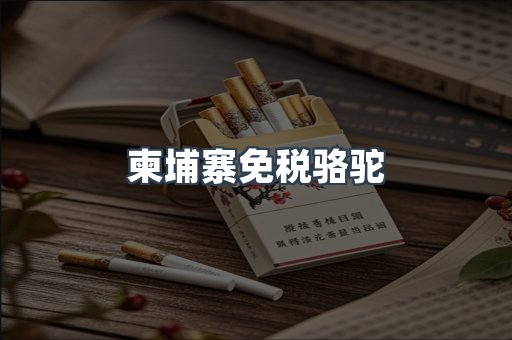 柬埔寨免税骆驼